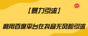 【暴力引流】利用百度平台在抖音无风险引流【揭秘】-网赚资源网