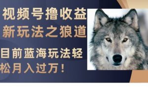 视频号撸收益新玩法之狼道,目前蓝海玩法,轻松月入过万【揭秘】-网赚资源网