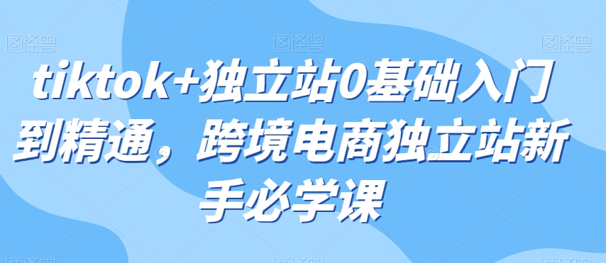 tiktok+独立站0基础入门到精通，跨境电商独立站新手必学课 - 网赚资源网-网赚资源网