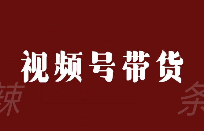 视频号带货联盟，赚信息差的带货钱，只需手机随时随地都可以做！ - 网赚资源网-网赚资源网