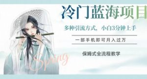冷门蓝海项目,操作简单,小白3分钟上手,多种引流方式,保姆式全流程教学【揭秘】-网赚资源网