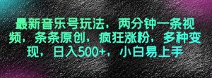 最新音乐号玩法,两分钟一条视频,条条原创,疯狂涨粉,多种变现,日入500+,小白易上手【揭秘】-网赚资源网