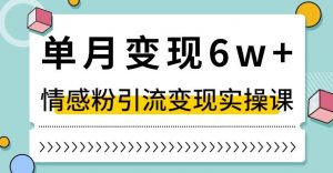 单月变现6W+，抖音情感粉引流变现实操课，小白可做，轻松上手，独家赛道【揭秘】 - 网赚资源网-网赚资源网