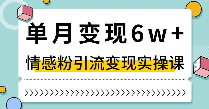 单月变现6W+，抖音情感粉引流变现实操课，小白可做，轻松上手，独家赛道【揭秘】 - 网赚资源网-网赚资源网