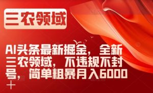 AI头条最新掘金，全新三农领域，不违规不封号，简单粗暴月入6000＋【揭秘】-网赚资源网