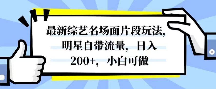 最新综艺名场面片段玩法，明星自带流量，日入200+，小白可做【揭秘】 - 网赚资源网-网赚资源网