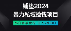 暴力私域捡钱项目,小白无脑操作,日入2980【揭秘】-网赚资源网