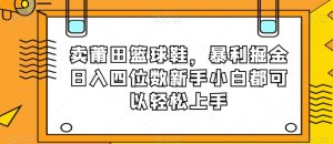 卖莆田篮球鞋，暴利掘金日入四位数新手小白都可以轻松上手【揭秘】-网赚资源网