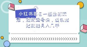 小红书每日一题最新玩法，涨粉起号快，复制粘贴就能月入几千【揭秘】-网赚资源网