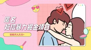 全网首发，揭秘超冷门匿名短信项目，通过信息差日入几百+【揭秘】-网赚资源网