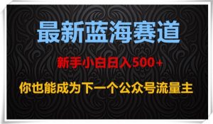 最新蓝海赛道,新手小白日入500+,你也能成为下一个公众号流量主【揭秘】-网赚资源网