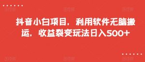 抖音小白项目,利用软件无脑搬运,收益裂变玩法日入500+【揭秘】-网赚资源网