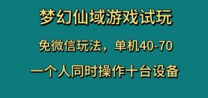 梦幻仙域游戏试玩,免微信玩法,单机40-70,一个人同时操作十台设备【揭秘】-网赚资源网