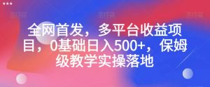 全网首发,多平台收益项目,0基础日入500+,保姆级教学实操落地【揭秘】-网赚资源网
