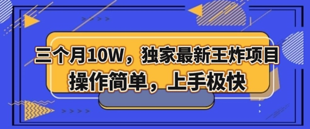 三个月10W，独家最新王炸项目！操作简单，上手极快【揭秘】 - 网赚资源网-网赚资源网