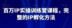 百万IP实操训练营课程,完整的IP孵化方法-网赚资源网