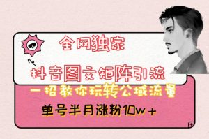 全网独家抖音图文矩阵引流，一招教你玩转公域流量，单号半月涨粉10w+【揭秘】-网赚资源网