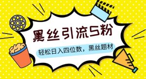 S粉变现，轻松日入四位数，黑丝题材+情感话术【揭秘】-网赚资源网