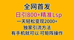 全网首发!日引800+精准老色批,一天变现2000+,独家引流方法,可矩阵操作【揭秘】-网赚资源网