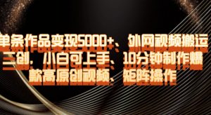 单条作品变现5000+、外网视频搬运二创，小白可上手，10分钟制作爆款高原创视频，矩阵操作【揭秘】-网赚资源网