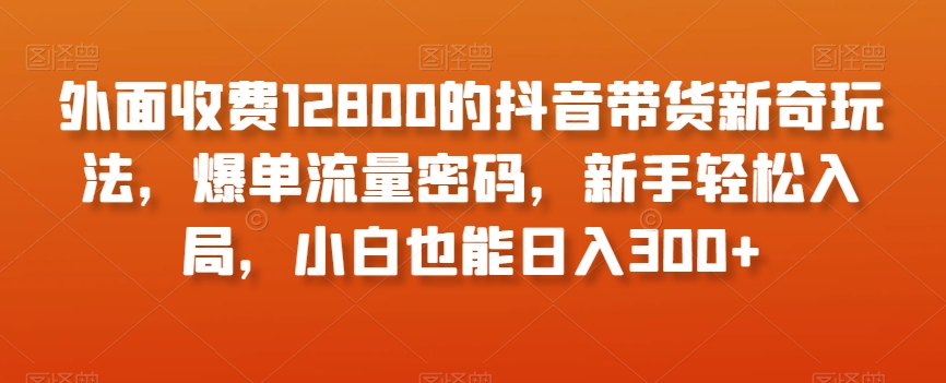 外面收费12800的抖音带货新奇玩法，爆单流量密码，新手轻松入局，小白也能日入300+【揭秘】 - 网赚资源网-网赚资源网