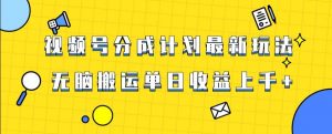 视频号最新爆火赛道玩法,只需无脑搬运,轻松过原创,单日收益上千【揭秘】-网赚资源网