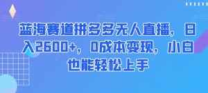 蓝海赛道拼多多无人直播,日入2600+,0成本变现,小白也能轻松上手【揭秘】-网赚资源网
