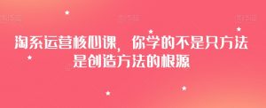 淘系运营核心课,你学的不是只方法是创造方法的根源-网赚资源网