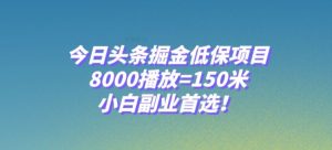 今日头条掘金低保项目，8000播放=150米，小白副业首选【揭秘】-网赚资源网