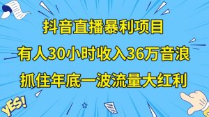 抖音直播暴利项目，有人30小时收入36万音浪，公司宣传片年会视频制作，抓住年底一波流量大红利【揭秘】-网赚资源网