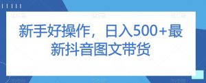 新手好操作,日入500+最新抖音图文带货【揭秘】-网赚资源网