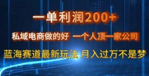 一单利润200私域电商做的好,一个人顶一家公司蓝海赛道最新玩法【揭秘】-网赚资源网