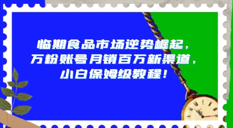 临期食品市场逆势崛起，万粉账号月销百万新渠道，小白保姆级教程【揭秘】 - 网赚资源网-网赚资源网