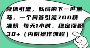 怎么搞精准创业粉？微信新赛道，每天一小时，利用Ai一个问答日引100精准粉-网赚资源网