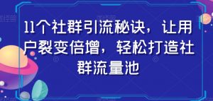 11个社群引流秘诀,让用户裂变倍增,轻松打造社群流量池-网赚资源网