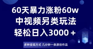 60天暴力涨粉60W,中视频另类玩法,日入3000+,几分钟一条原创作品多种变现方式-网赚资源网