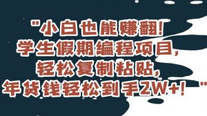 小白也能赚翻!学生假期编程项目,轻松复制粘贴,年货钱轻松到手2W+【揭秘】-网赚资源网
