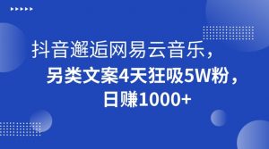 抖音邂逅网易云音乐,另类文案4天狂吸5W粉,日赚1000+【揭秘】-网赚资源网