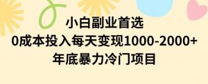小白副业首选，0成本投入，每天变现1000-2000年底暴力冷门项目【揭秘】-网赚资源网