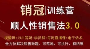 爆款！销冠训练营3.0之顺人性销售法，全方位解决销售难题、可落地、可执行、有结果-网赚资源网