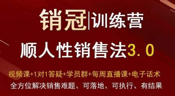 爆款！销冠训练营3.0之顺人性销售法，全方位解决销售难题、可落地、可执行、有结果 - 网赚资源网-网赚资源网