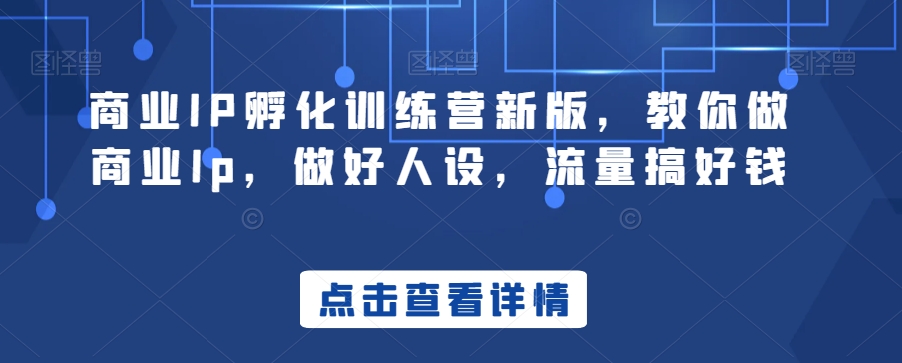 商业IP孵化训练营新版，教你做商业Ip，做好人设，流量搞好钱 - 网赚资源网-网赚资源网