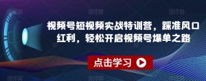视频号短视频实战特训营,踩准风口红利,轻松开启视频号爆单之路-网赚资源网