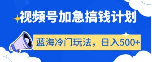 视频号加急搞钱计划,蓝海冷门玩法,日入500+【揭秘】-网赚资源网