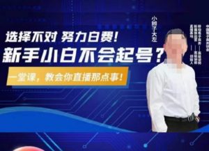 大左教您从0到1做直播带货，选择不对，努力白费，5小时课程搞定那点事，解决你起号问题-网赚资源网