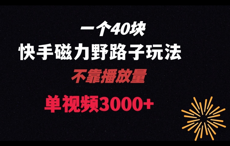 一个40块，快手联合美团磁力新玩法，无视机制野路子玩法，单视频收益4位数【揭秘】 - 网赚资源网-网赚资源网