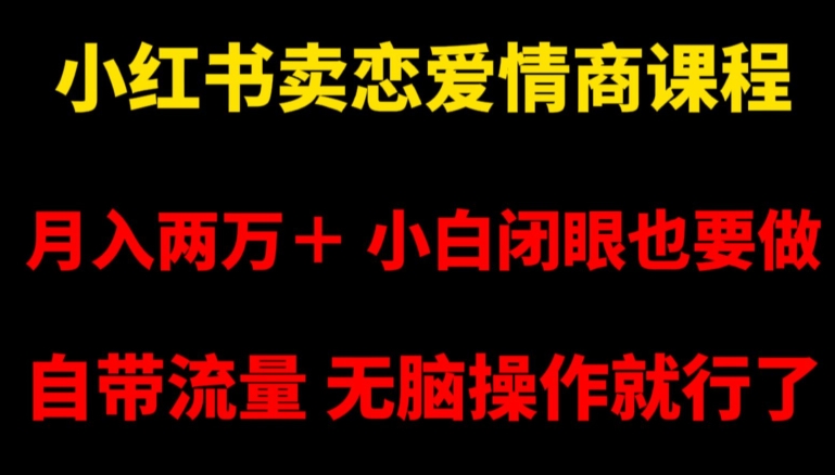 小红书卖恋爱情商课程，月入两万＋，小白闭眼也要做，自带流量，无脑操作就行了【揭秘】 - 网赚资源网-网赚资源网