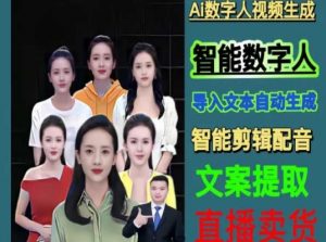 伍老师Ai数字人快速剪辑制作以及变现视频课-网赚资源网