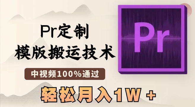 最新Pr定制模版搬运技术，中视频100%通过，几分钟一条视频，轻松月入1W＋【揭秘】 - 网赚资源网-网赚资源网