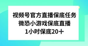 视频号直播任务,微恐小游戏,1小时20+【揭秘】-网赚资源网